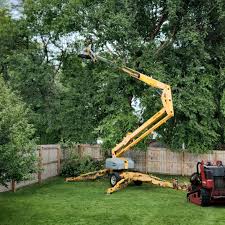Best Seasonal Cleanup (Spring/Fall)  in Crestline, CA