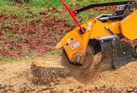 Professional Tree Care in Crestline, CA