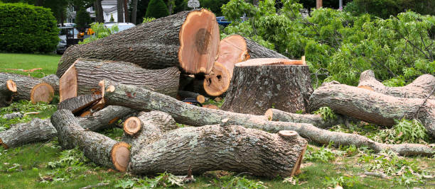 Best Landscape Design and Installation  in Crestline, CA